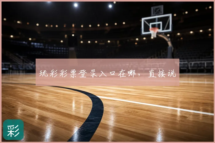 玩彩彩票登录入口在哪,直接说